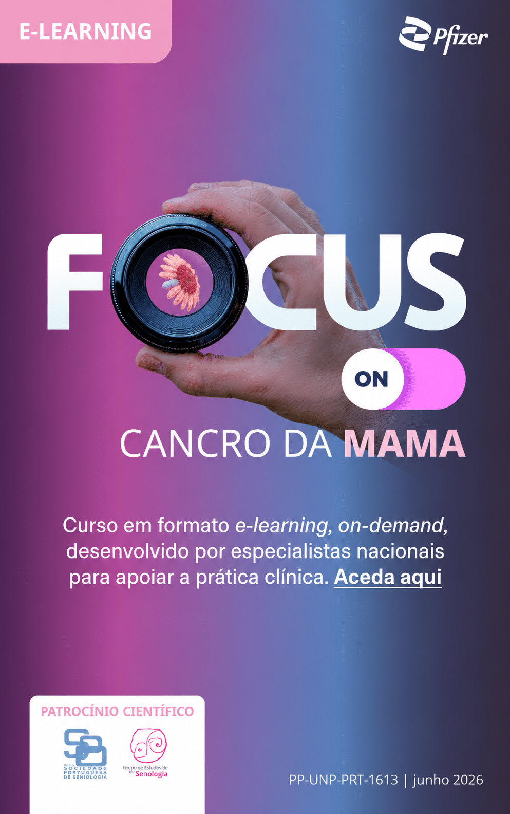focus on mn