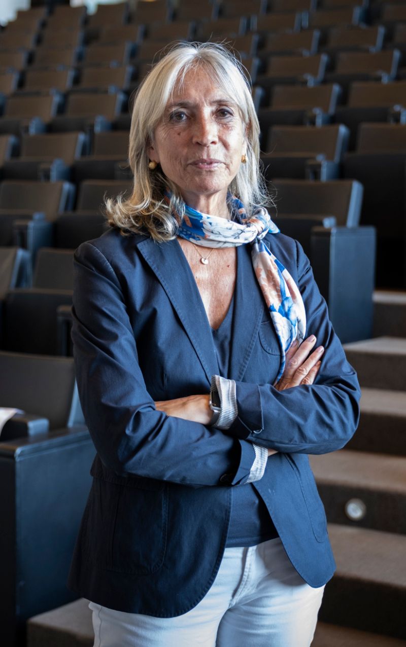 maria joão cardoso MN