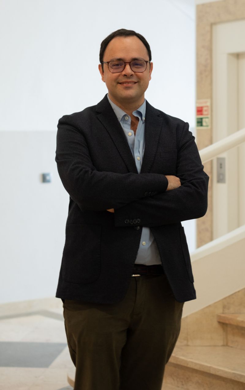 MN rodrigo leão